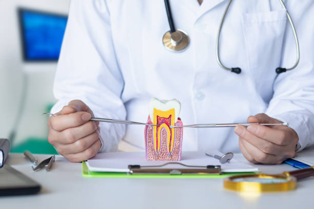 Best Emergency Treatment for Toothache in Greenup, IL